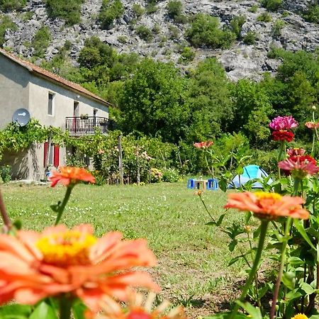 Camp Podkraj Hotel Virpazar Kültér fotó